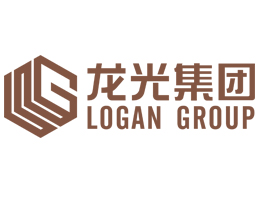 龙光房地产有限公司